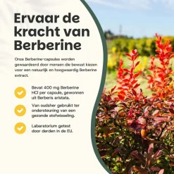Cupplement 20% korting | Berberine Extract Capsules 400 mg Discount