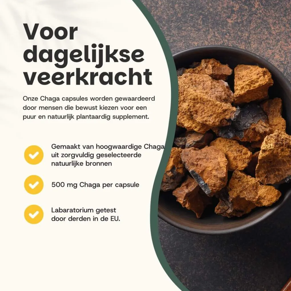 Cupplement 20% korting | Chaga Capsules 500 mg Biologisch Best