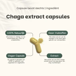Cupplement 20% korting | Chaga Extract Capsules 400mg Outlet