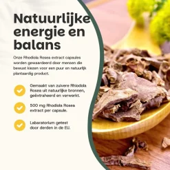 Cupplement 30% korting | Combideal Rhodiola Rosea Capsules 500 mg Sale