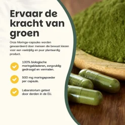 Cupplement 20% korting | Moringa Capsules 500 mg Biologisch Outlet