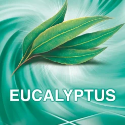 Ajax Eucalyptus Allesreiniger Online