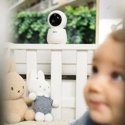 Alecto DVM2043 Babyfoon met camera met groot kleurenscherm en nachtlampje Online