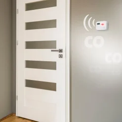 Alecto Koolmonoxidemelder Best