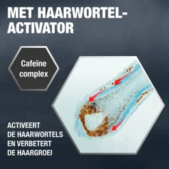 Alpecin Liquid Hair Energizer Hot