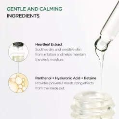 ANUA Heartleaf 80% Moisture Soothing Ampoule Discount