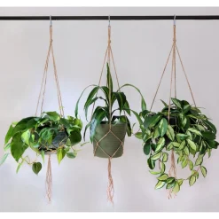 Arti Casa Tafelonderdeel MEATA4910/001 Clearance