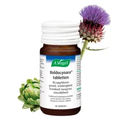A.Vogel Boldocynara Tabletten Sale