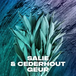 Axe Apollo Deodorant & Bodyspray Hot