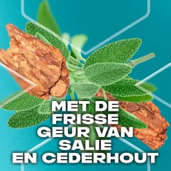 Axe Apollo 3-In-1 Douchegel