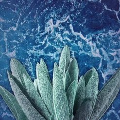 Axe Marine Deodorant & Bodyspray Outlet