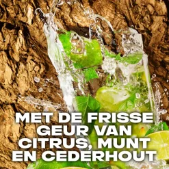 Axe Wild Mojito & Cedarwood Deodorant & Bodyspray Hot