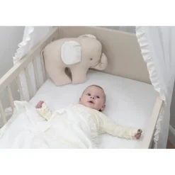 Babys Only Baby's Only 70 x 95 cm Wiegdeken Calm