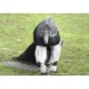 Cadeaubon: Entree Dierenpark Zie-ZOO Best
