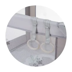 Chipolino PopUp Koala Box Sale