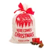 Cote D'Or Côte d'Or Best of chocolademix kerstzak Best