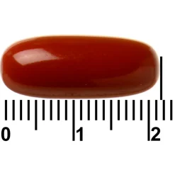 Davitamon Actifit 65+ Omega-3 Visolie Multivitamine & Mineralen Capsules Discount