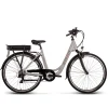 Degreaser dames ebike 45 cm 10.4 Ah 7sp zilver New