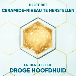 Head & Shoulders DermaXPro by Hydrateert Antiroosshampoo