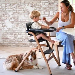 Deryan Curve Luxe Meegroei Kinderstoel Met Wipstoel & Inlegkussen Outlet