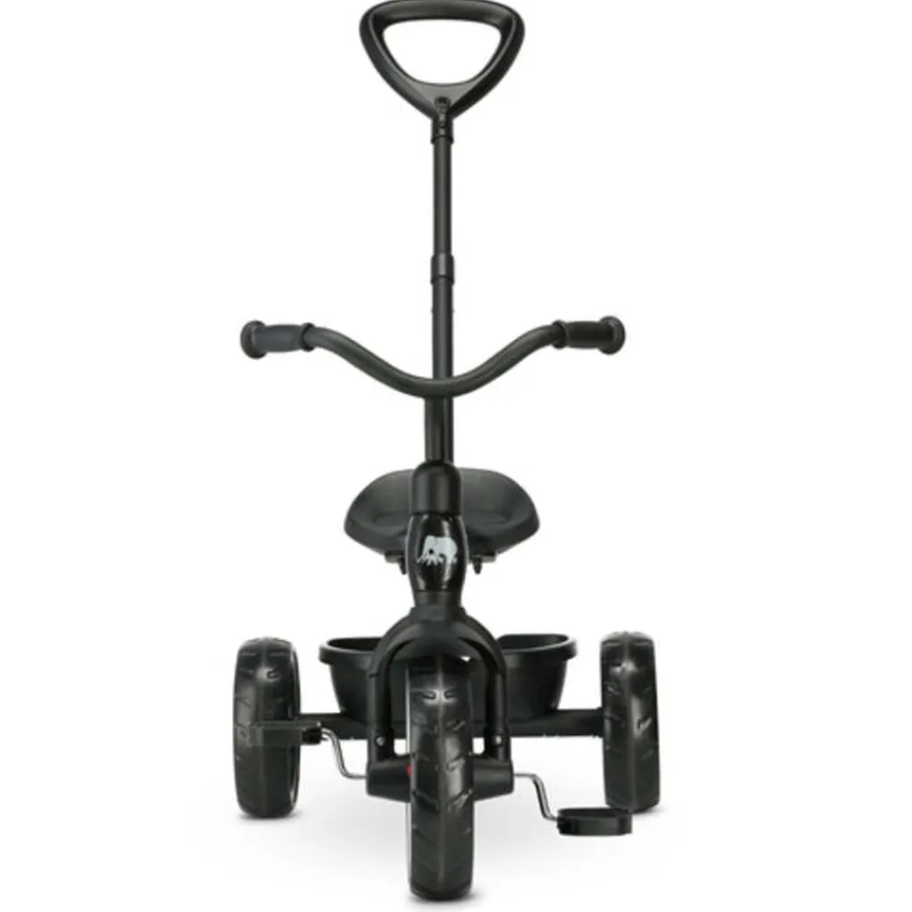 Qplay Deryan Driewieler Loopfiets met Duwstang New