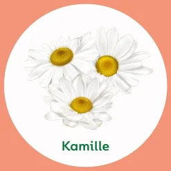Dettol Chamomile & Cotton Flower Wascrème met Pomp Online
