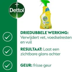 Dettol Power & Fresh Citrus Allesreiniger Spray Discount