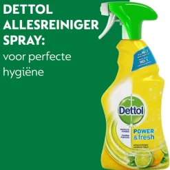 Dettol Power & Fresh Citrus Allesreiniger Spray Discount