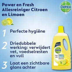 Dettol Power & Fresh Citrus Allesreiniger Outlet