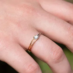 Di Lusso Ring Calabria