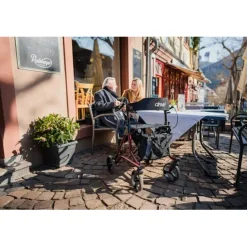 DRIVE MEDICAL GMBH Drive rollator Torro Best