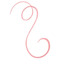 Essence Line N' Stain! 02 Must Have Brown Tattoo Lip Liner Online