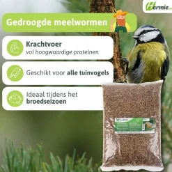 Famiflora meelwormen vogelvoer Online