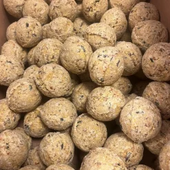 Famiflora mezenbollen zonder net Best