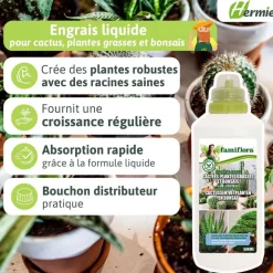 Famiflora vloeibare meststof voor cactussen, vetplanten en bonsaï Best