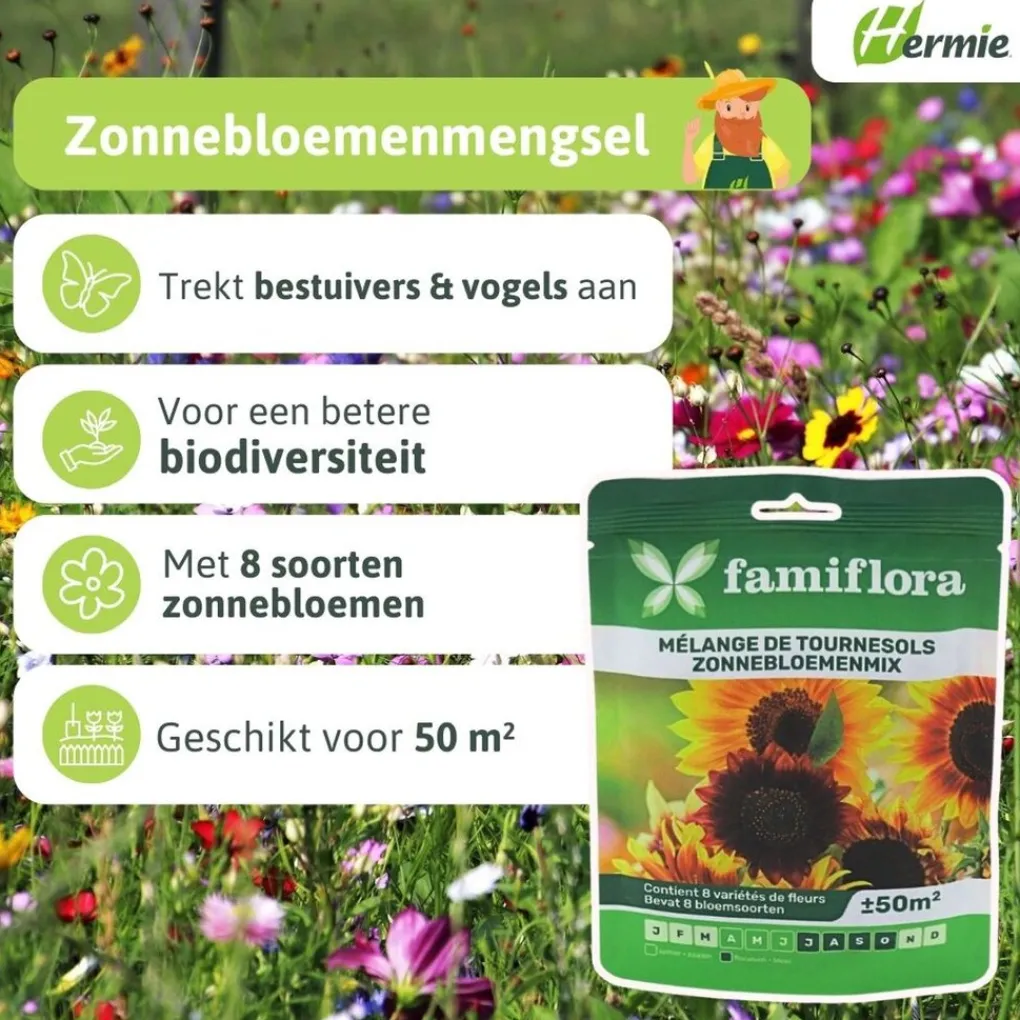 Famiflora zonnebloemenmix bloemenzaden Online