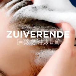 Loving Blends Garnier Magnetic Charcoal Shampoo