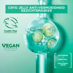 Garnier Skin Naturals Garnier SkinActive Cryo Jelly Anti-Vermoeidheid Gezichtsmasker met Hyaluronzuur