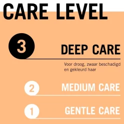 Gliss Overnight Repair Night Elixir Outlet