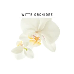 Guhl Blond Glans & Verzorging Shampoo Hot