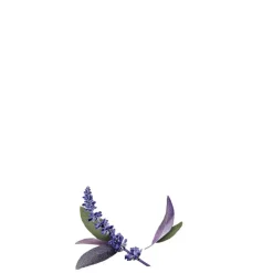 Guhl Zilverglans & Verzorging Anti-Geel 2-in-1 Masker en Conditioner Clearance