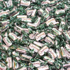 Guylian Temptations Original Seahorses Best