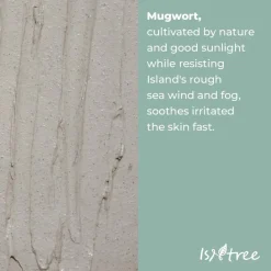 ISNTREE Mugwort Calming Clay Mask Outlet
