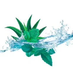 Kneipp Cooling Aloë Vera Watermunt Voetbadkristallen Sale
