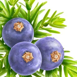 Kneipp Muscle Soothing Jeneverbes Badolie Online