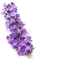 Kneipp Relaxing Lavendel Badolie