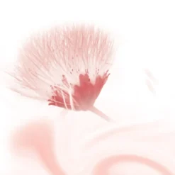 Kneipp Silky Secret Doucheschuim Clearance