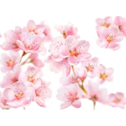 Kneipp Soft Skin Amandelbloesem Douchegel Outlet