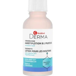 KRUIDVAT DERMA Indrogende Aanstiplotion bij Puistjes Outlet