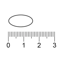 Kruidvat Haarvitaal Tabletten New